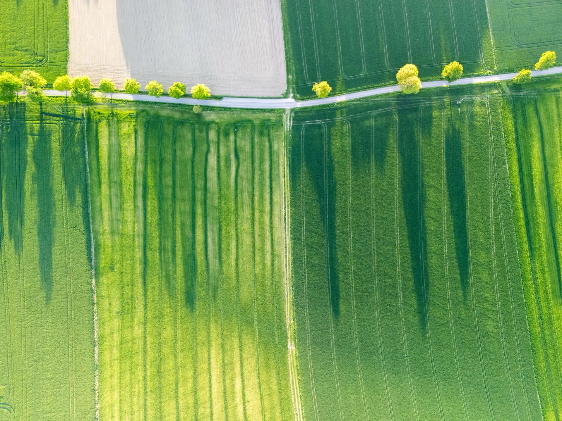 Aerial view of striped, irrigated agricultural fields