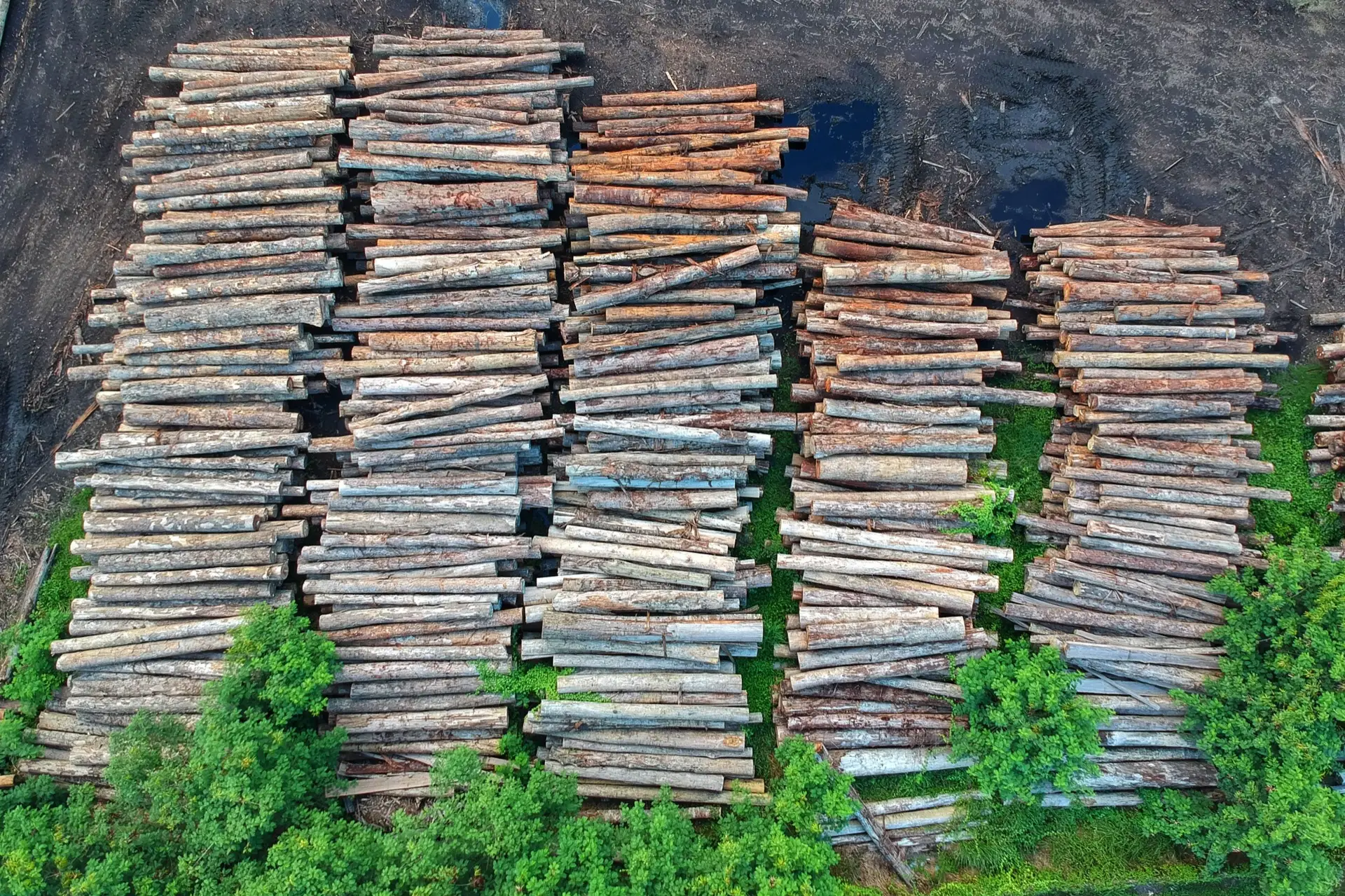 Aerial view of stacked timber logs at a forestry yard
