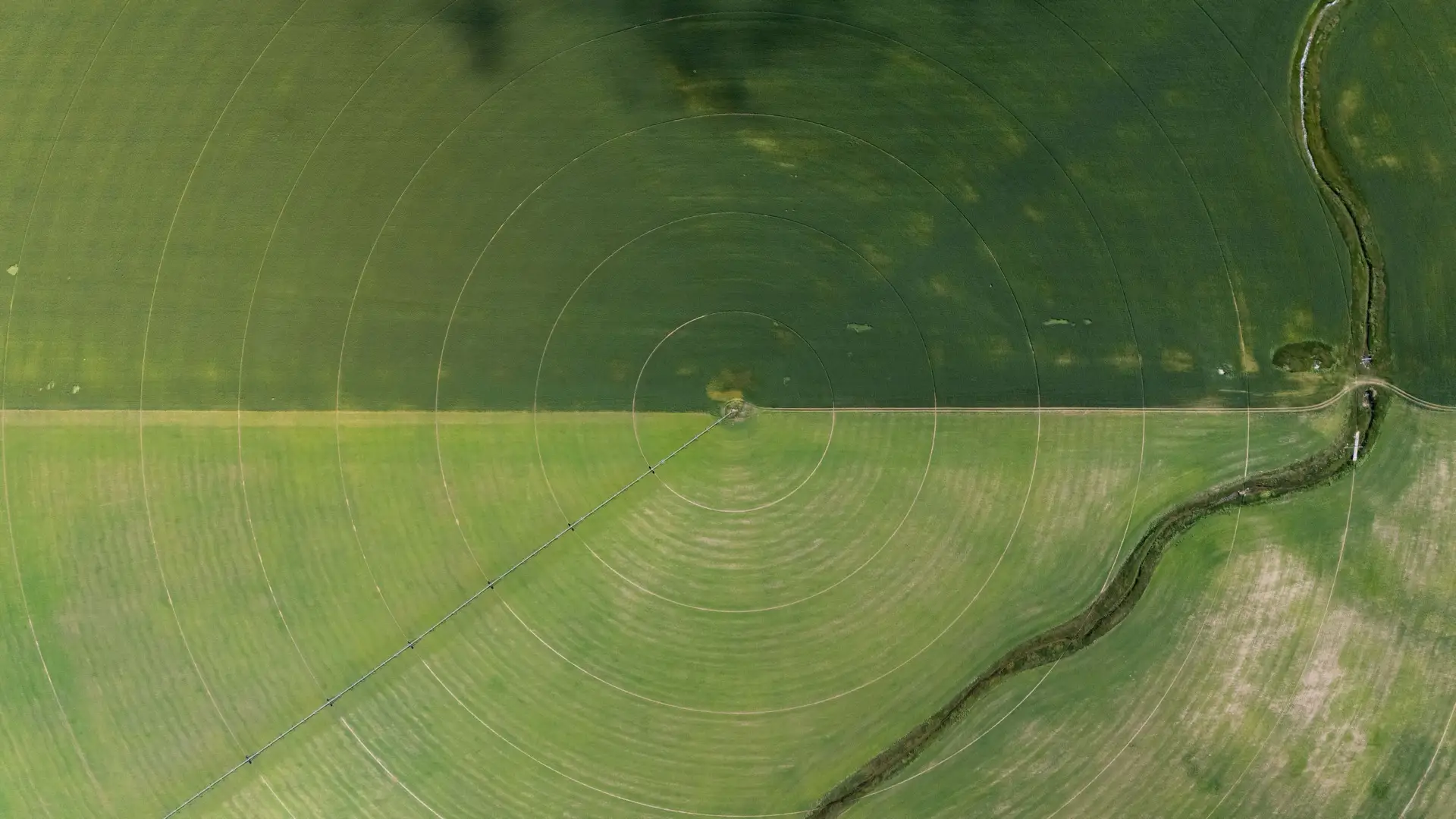 Aerial view of vegetated farmland from above