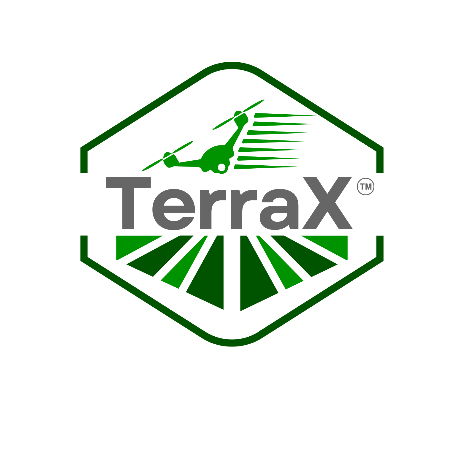 TerraX